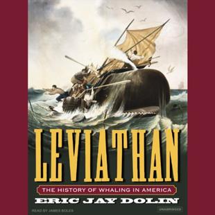 Leviathan: The History of Whaling in America audiobook cover