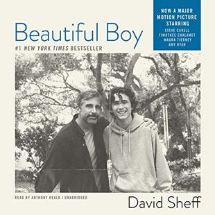 Beautiful Boy: A Father's Journey through His Son's Meth Addiction audiobook cover