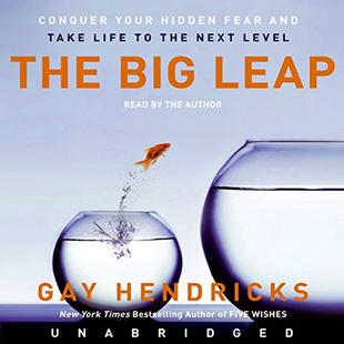 The Big Leap audiobook cover