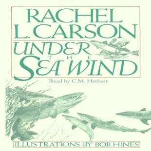 Under the Sea Wind audiobook cover