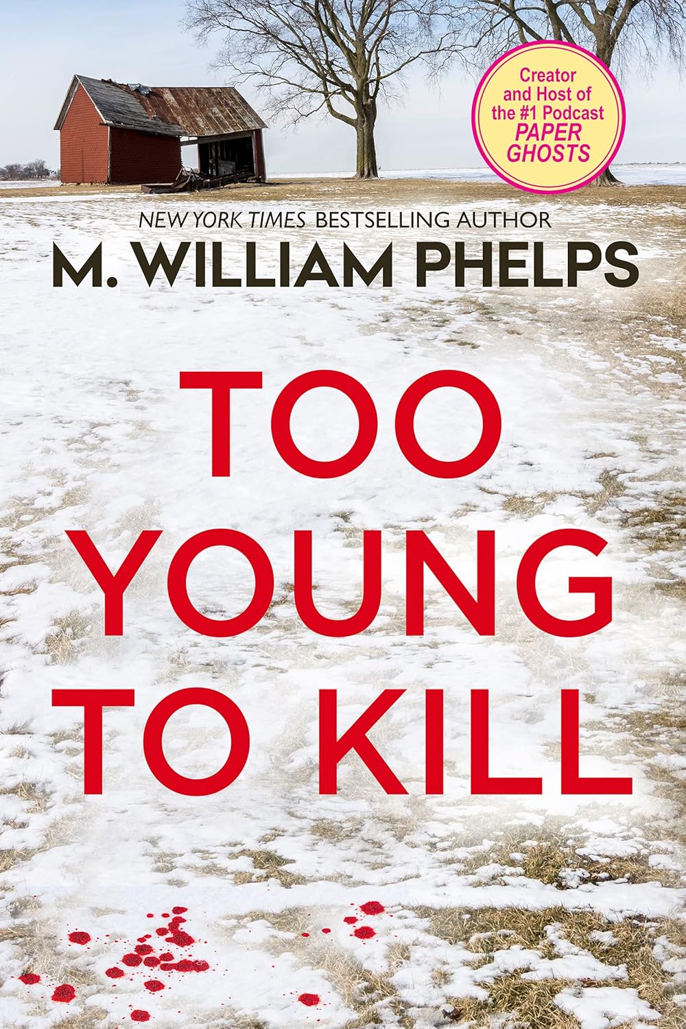 Too Young to Kill audiobook cover