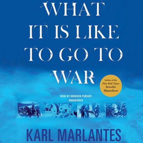 What It Is Like to Go to War audiobook cover