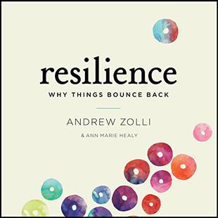 Resilience: Why Things Bounce Back audiobook cover