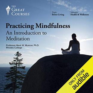 Practicing Mindfulness: An Introduction to Meditation audiobook cover