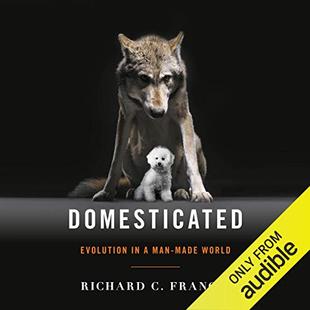 Domesticated: Evolution in a Man-Made World audiobook cover