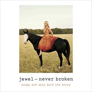 Never Broken: Songs Are Only Half the Story audiobook cover