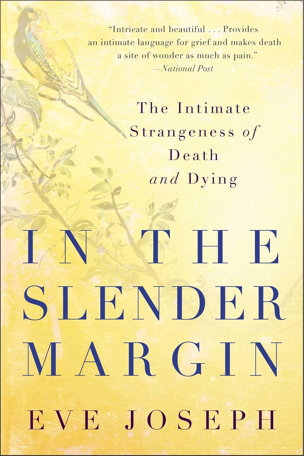 In the Slender Margin: The Intimate Strangeness of Death and Dying audiobook cover