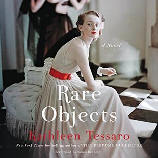 Rare Objects: A Novel audiobook cover