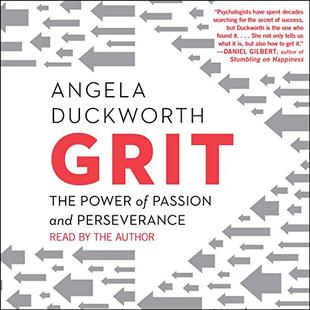Grit: The Power of Passion and Perseverance audiobook cover