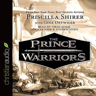 The Prince Warriors audiobook cover
