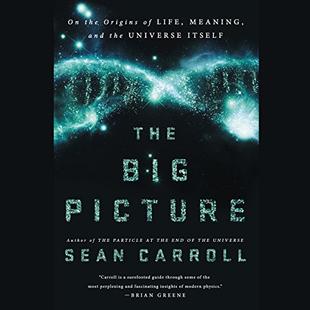 The Big Picture: On the Origins of Life, Meaning, and the Universe Itself audiobook cover