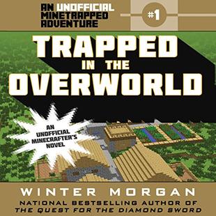 Trapped in the Overworld audiobook cover