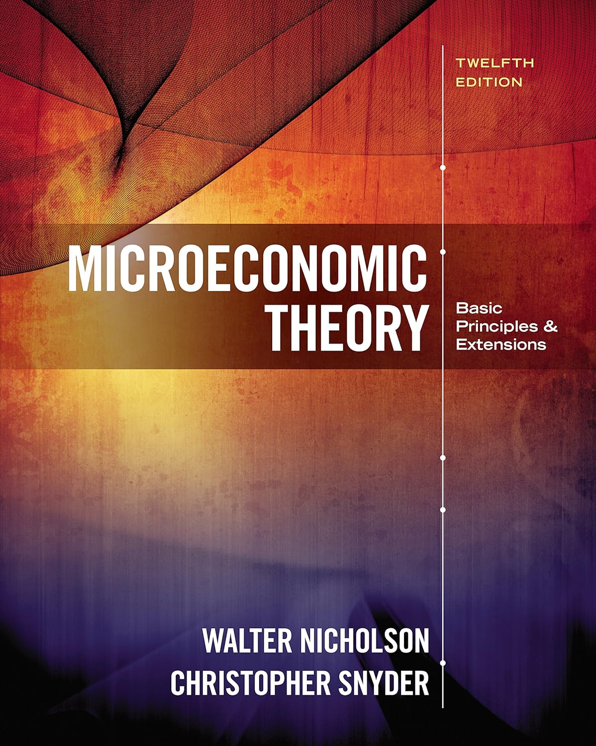 Microeconomic Theory: Basic Principles and Extensions audiobook cover