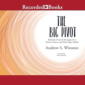 The Big Pivot: Radically Practical Strategies for a Hotter, Scarcer, and More Open World audiobook cover