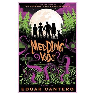 Meddling Kids: A Novel audiobook cover