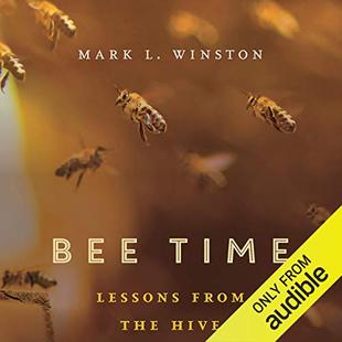 Bee Time: Lessons from the Hive audiobook cover