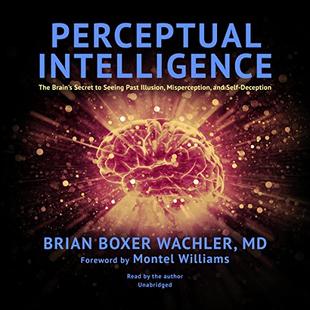 Perceptual Intelligence: The Brain’s Secret to Seeing Past Illusion, Misperception, and Self-Deception audiobook cover