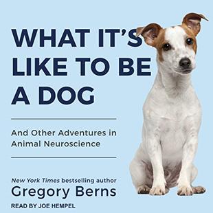 What It's Like to Be a Dog: And Other Adventures in Animal Neuroscience audiobook cover