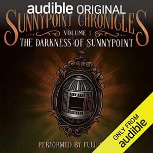 The Darkness of Sunnypoint: The Sunnypoint Chronicles, Book 1 audiobook cover