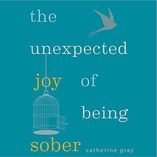The Unexpected Joy of Being Sober: Discovering a Happy, Healthy, Wealthy Alcohol-Free Life audiobook cover