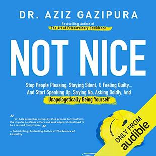 Not Nice: Stop People Pleasing, Staying Silent, & Feeling Guilty... And Start Speaking up, Saying No, Asking Boldly, and Unapologetically Being Yourself audiobook cover