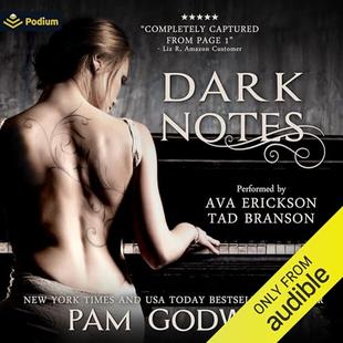 Dark Notes audiobook cover