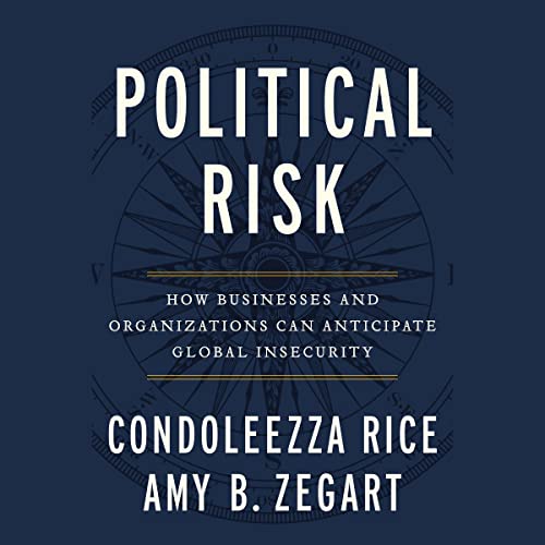 Political Risk: How Businesses and Organizations Can Anticipate Global Insecurity audiobook cover