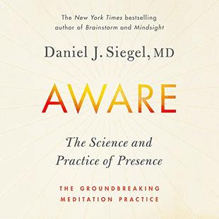 Aware: The Science and Practice of Presence - A Complete Guide to the Groundbreaking Wheel of Awareness Meditation Practice audiobook cover