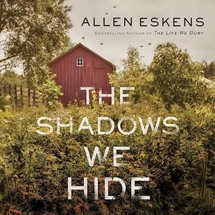 The Shadows We Hide audiobook cover