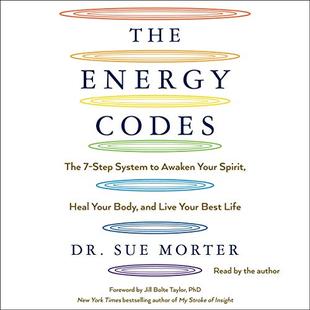 The Energy Codes: The 7-Step System to Awaken Your Spirit, Heal Your Body, and Live Your Best Life audiobook cover