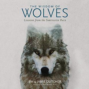 The Wisdom of Wolves: Lessons from the Sawtooth Pack audiobook cover