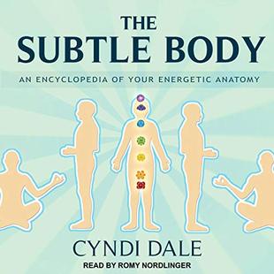 The Subtle Body: An Encyclopedia of Your Energetic Anatomy audiobook cover