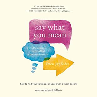 Say What You Mean: A Mindful Approach to Nonviolent Communication audiobook cover