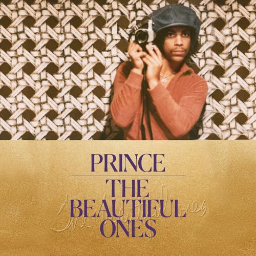 The Beautiful Ones audiobook cover