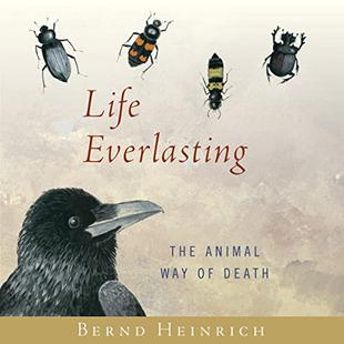 Life Everlasting: The Animal Way of Death audiobook cover