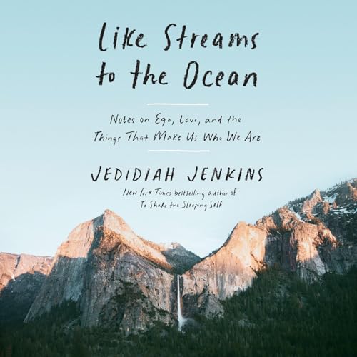 Like Streams to the Ocean: Notes on Ego, Love, and the Things That Make Us Who We Are: Essays audiobook cover