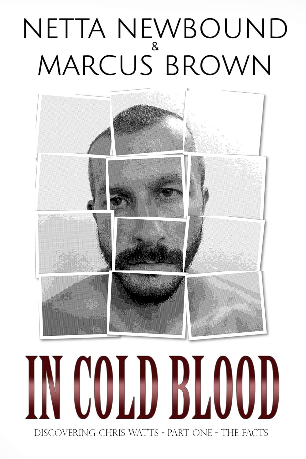 In Cold Blood: The most shocking and heart-wrenching case of familicide by far... (Discovering Chris Watts Book 1) audiobook cover