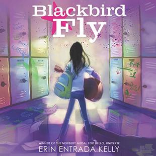 Blackbird Fly audiobook cover