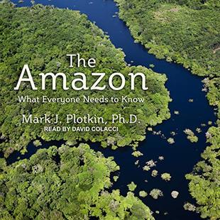 The Amazon: What Everyone Needs to Know audiobook cover