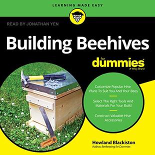 Building Beehives for Dummies audiobook cover