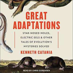 Great Adaptations: Star-Nosed Moles, Electric Eels, and Other Tales of Evolution's Mysteries Solved audiobook cover