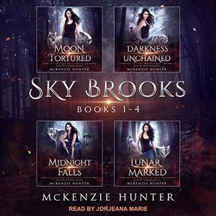 Sky Brooks: Books 1-4 Box Set audiobook cover