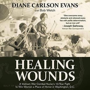 Healing Wounds: A Vietnam War Combat Nurse's 10-Year Fight to Win Women a Place of Honor in Washington, D.C. audiobook cover