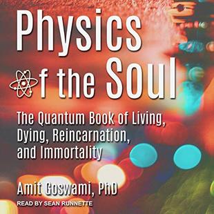Physics of the Soul: The Quantum Book of Living, Dying, Reincarnation, and Immortality audiobook cover