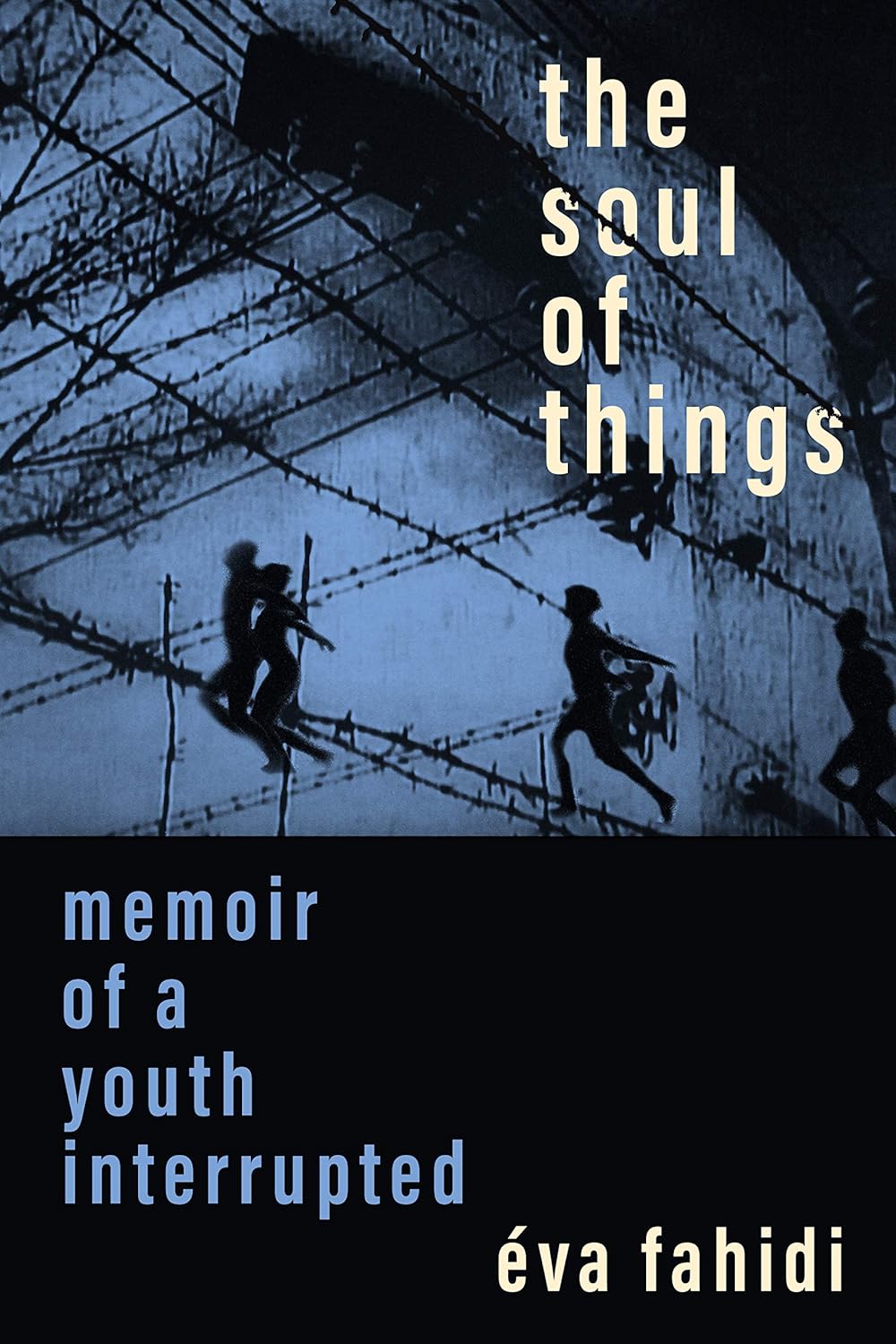 The Soul of Things: Memoir of a Youth Interrupted audiobook cover