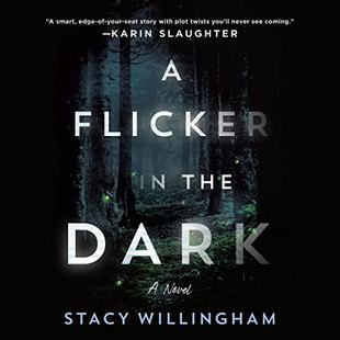 A Flicker in the Dark: A Novel audiobook cover