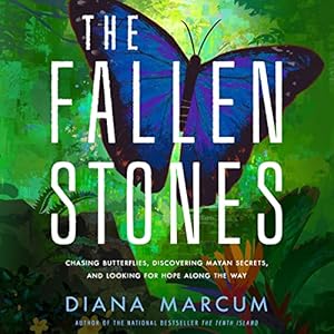 The Fallen Stones: Chasing Butterflies, Discovering Mayan Secrets, and Looking for Hope Along the Way audiobook cover
