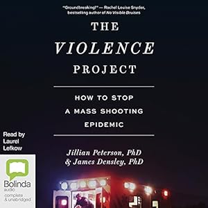 The Violence Project: How to Stop a Mass Shooting Epidemic audiobook cover