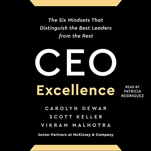 CEO Excellence: The Six Mindsets That Distinguish the Best Leaders from the Rest audiobook cover