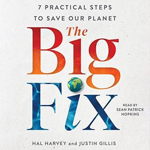 The Big Fix: Seven Practical Steps to Save Our Planet audiobook cover